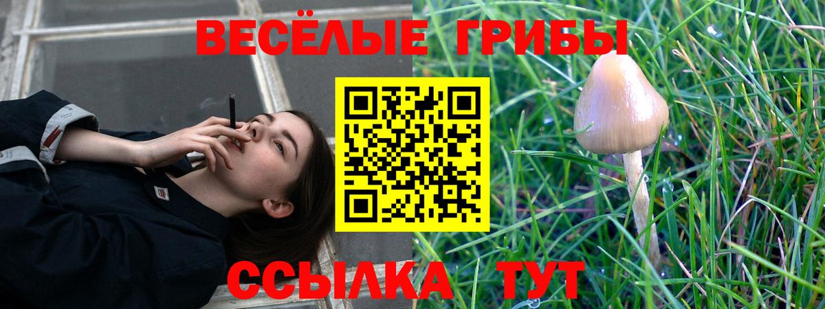 Галлюциногенные грибы ЛСД Ленинск-Кузнецкий
