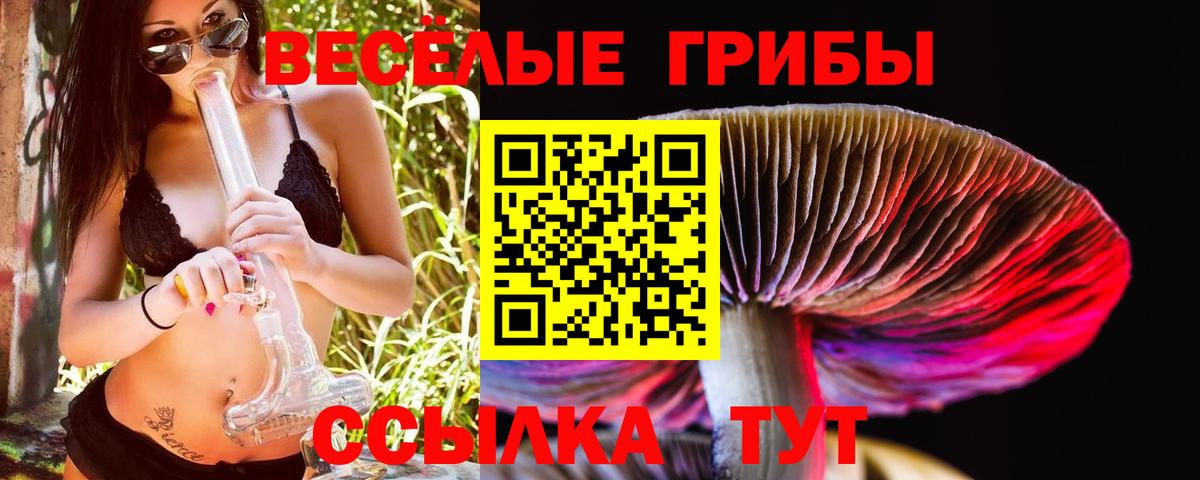 Ленинск-Кузнецкий  сколько стоит  Вход с VPN  Псилоцибиновые грибы Psilocybine cubensis 